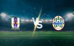 Preview Ehime vs Montedio Yamagata: Duel Sengit di Ningineer Stadium footballnews